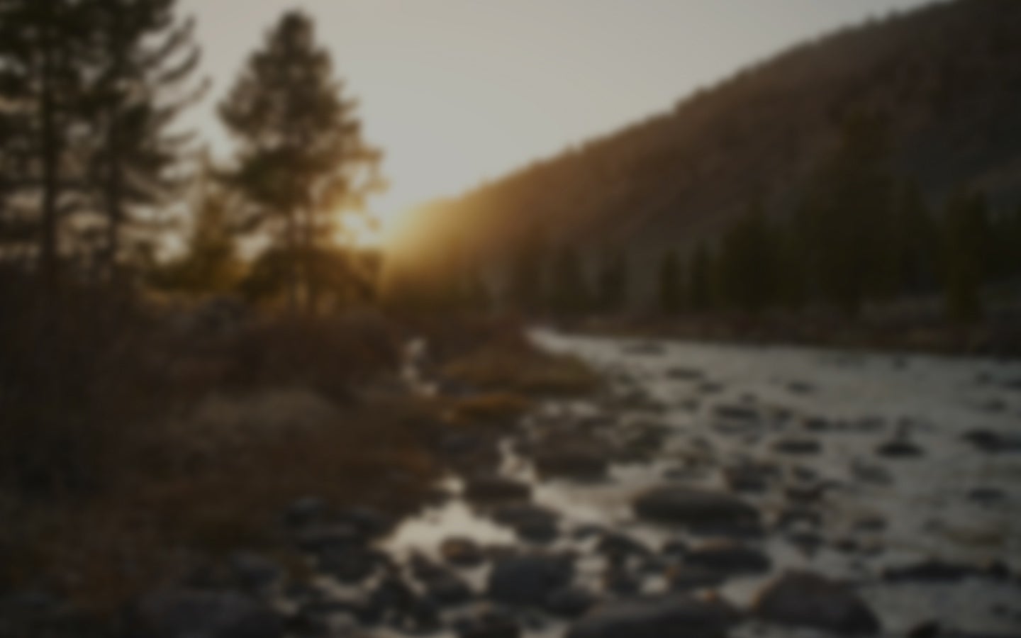 Mood Banner Picture