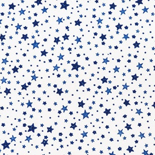Navy star motif against white background